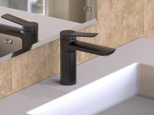 ก๊อกเดี่ยวสีดำ Chrome Bathroom Tap แบบไม่มีก้านดึง